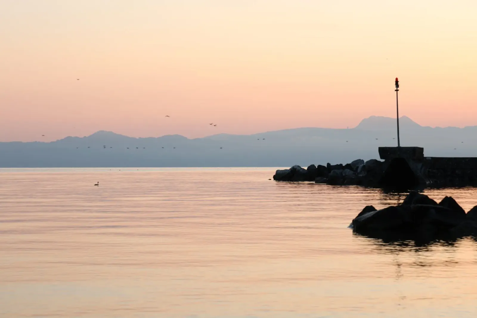 Atmosfera mattutina al lago pellicola backlit da Atelier_SousleMont_Photography