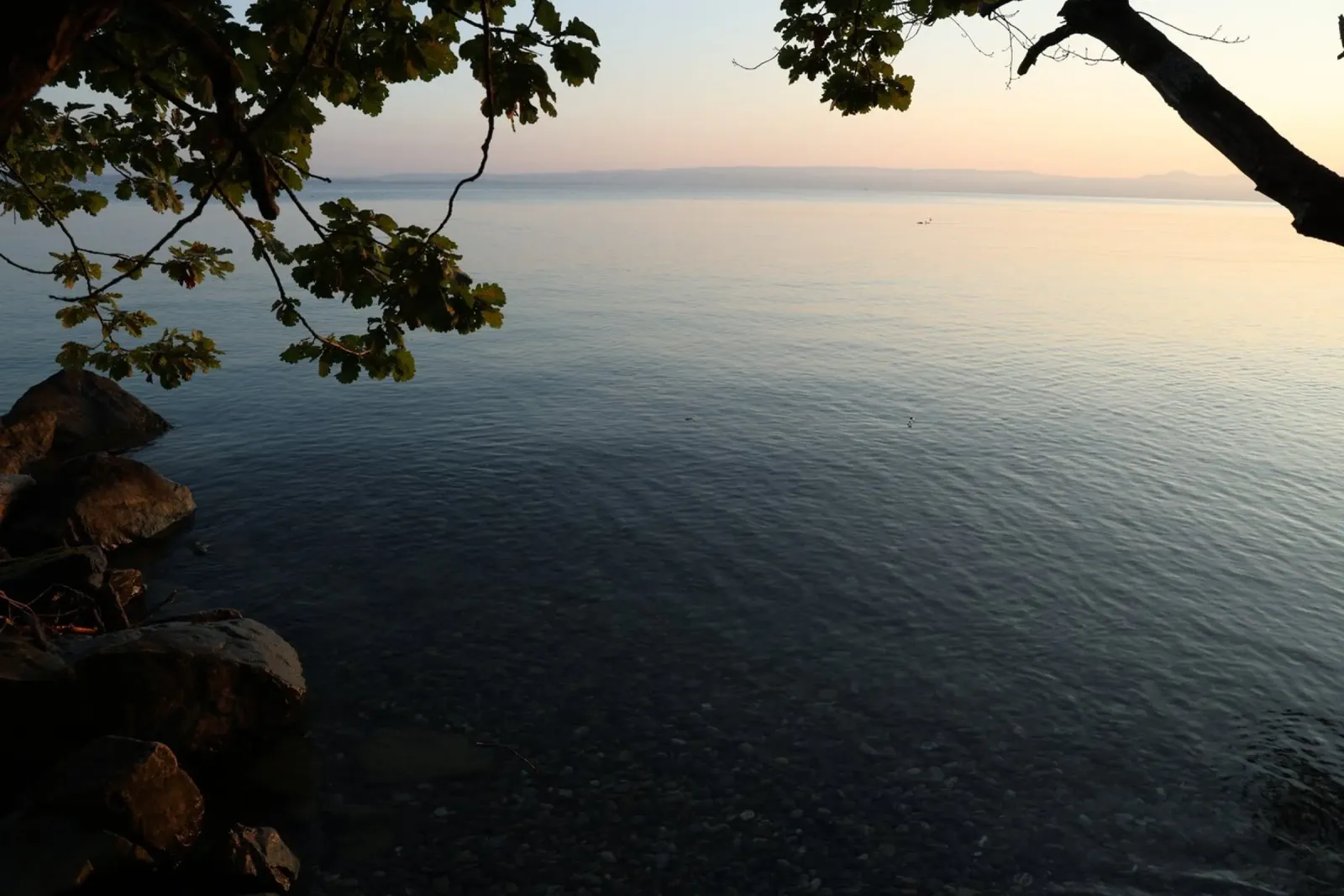 Mattina al lago II pellicola backlit da Atelier_SousleMont_Photography