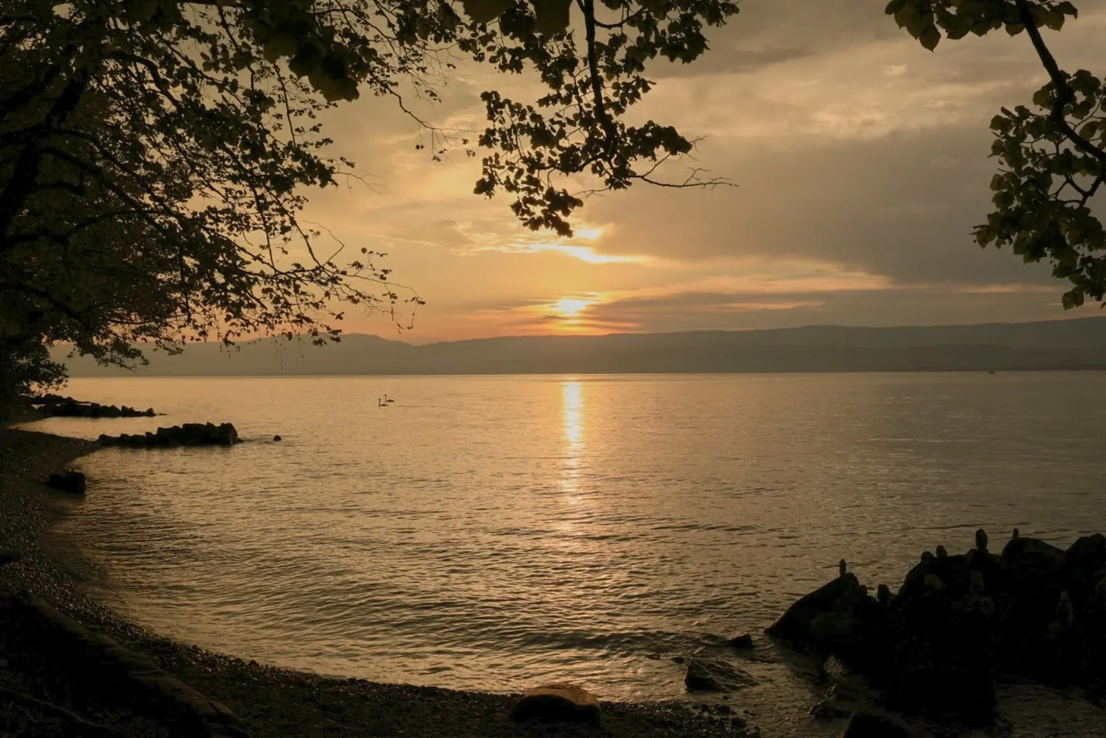 Crepuscolo dorato sul lago pellicola backlit da Atelier_SousleMont_Photography