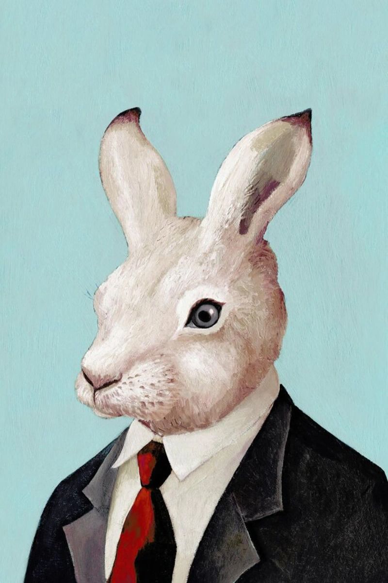Rabbit poster by Animal Crew