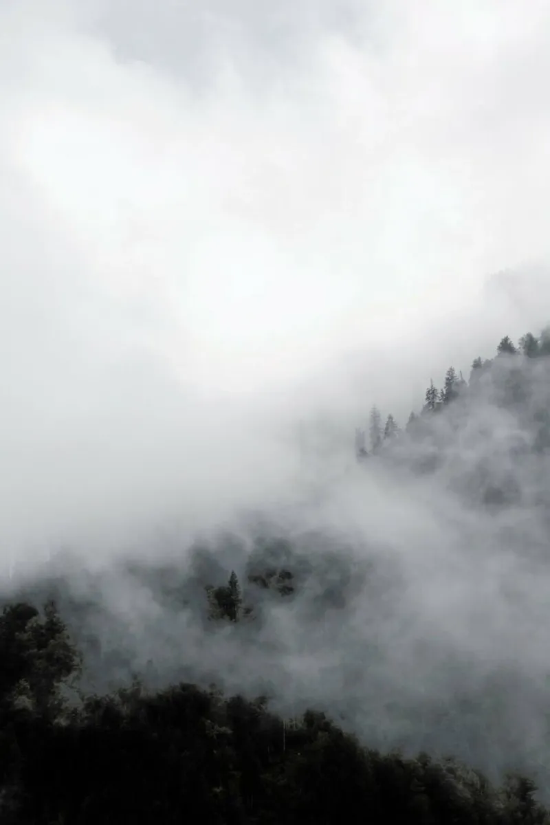 Above Clouds pellicola backlit da Studio Nahili