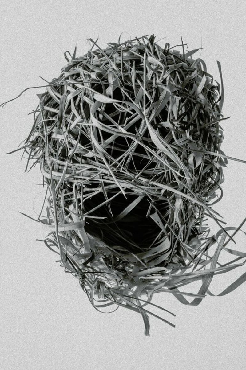 Weaver Nest poster da Shot By Clint