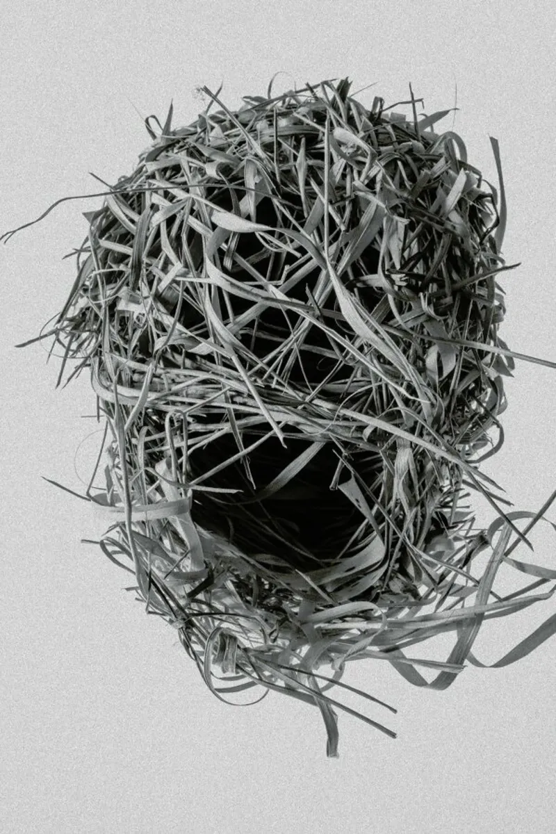 Weaver Nest pannello forex da Shot By Clint