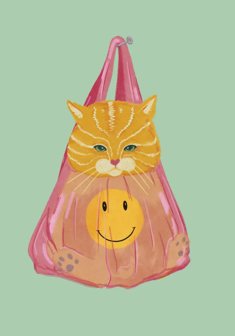Gatto in borsa pellicola backlit da Illustration Raissa Oltmanns