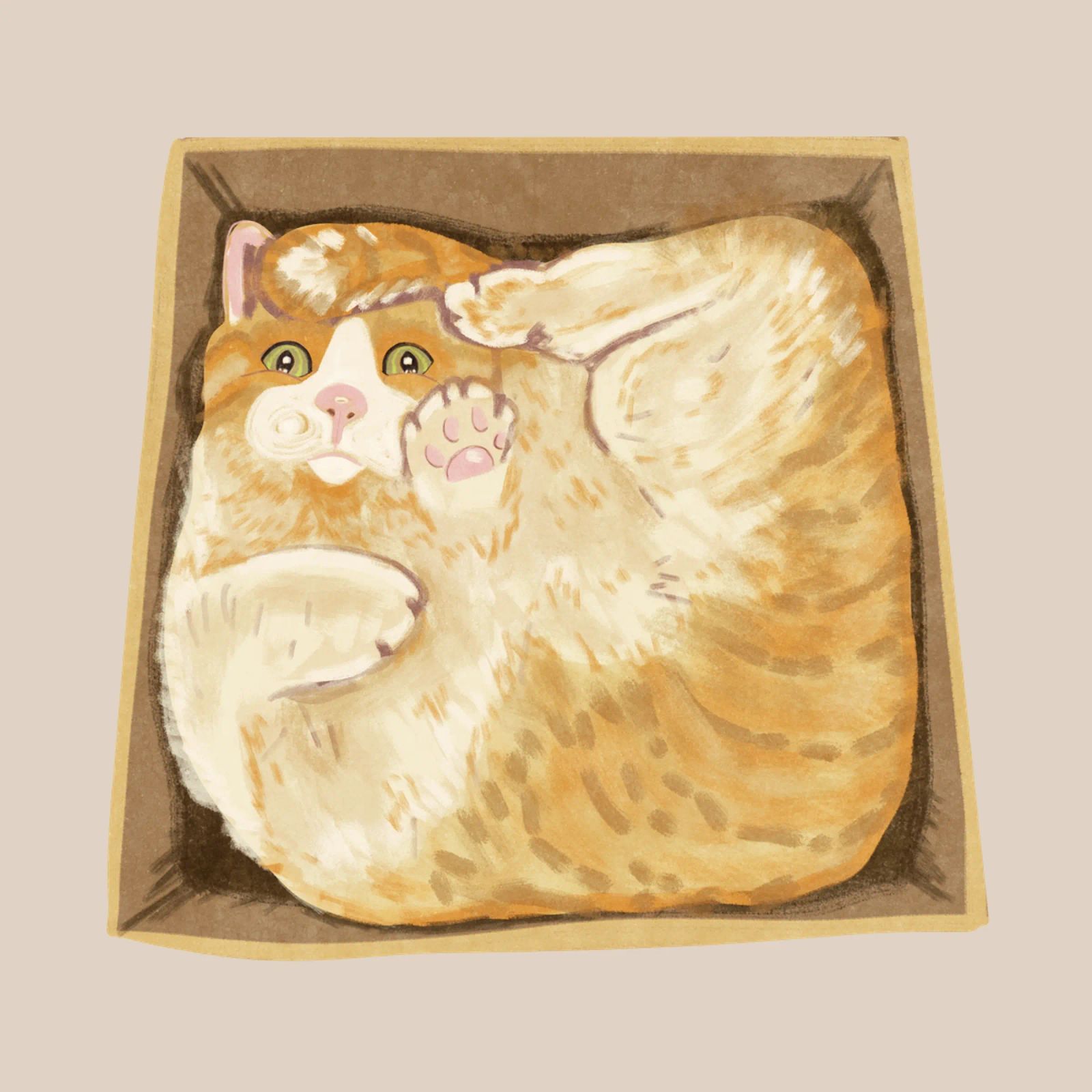 Katze im Karton Poster von Illustration Raissa Oltmanns