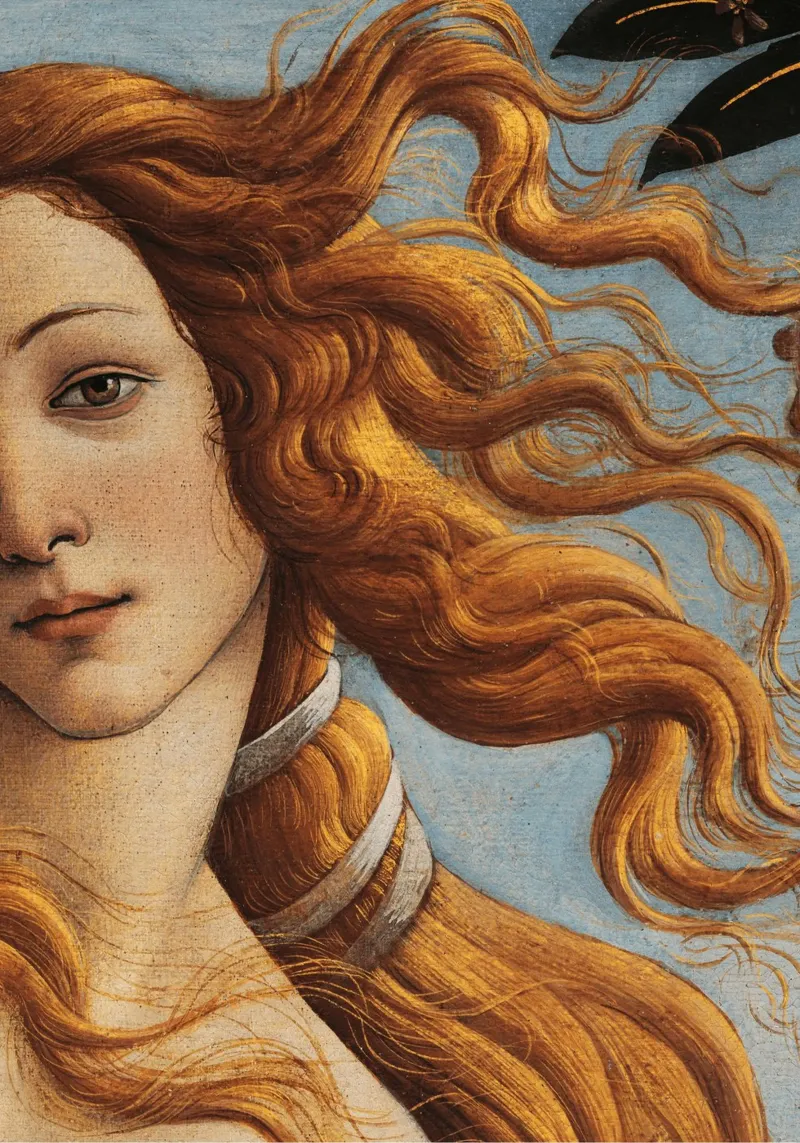 Venus carta hahnemühle da Studio Mooodz