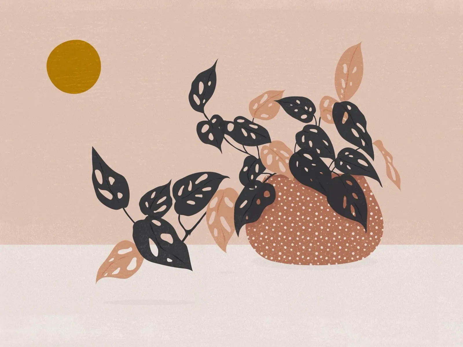 VI botanica: pianta della maschera di scimmia poster con telaio in alluminio da kookiepixel