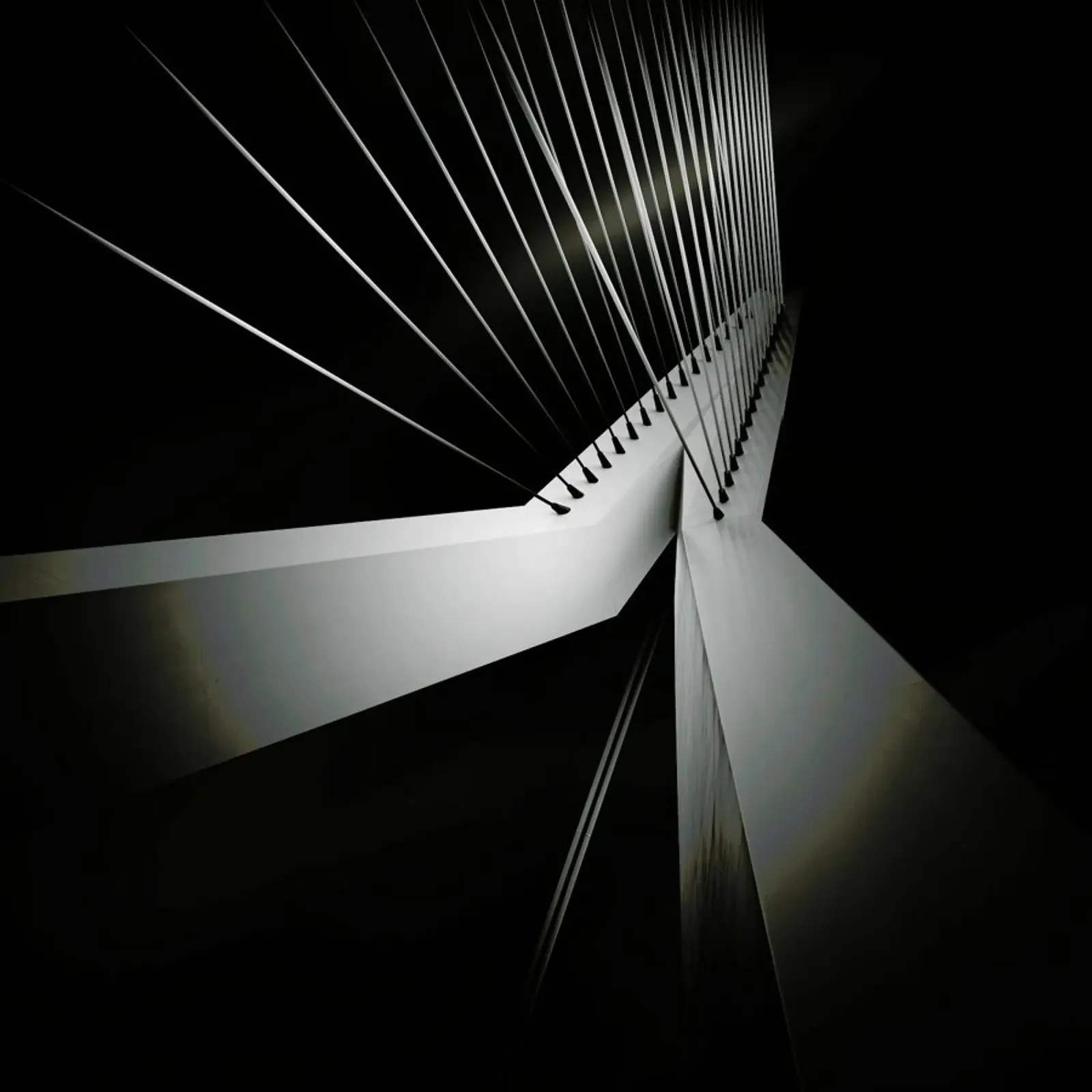 Metropolis Erasmusbrug pellicola backlit da Håggard Photography | Ronny Behnert