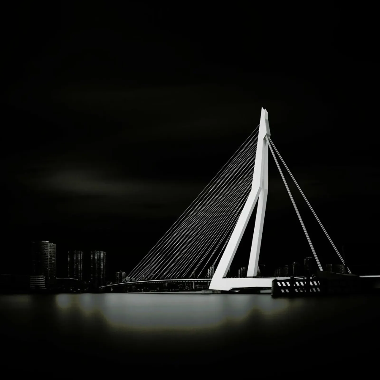 Metropolis Erasmusbrug 2 pellicola backlit da Håggard Photography | Ronny Behnert