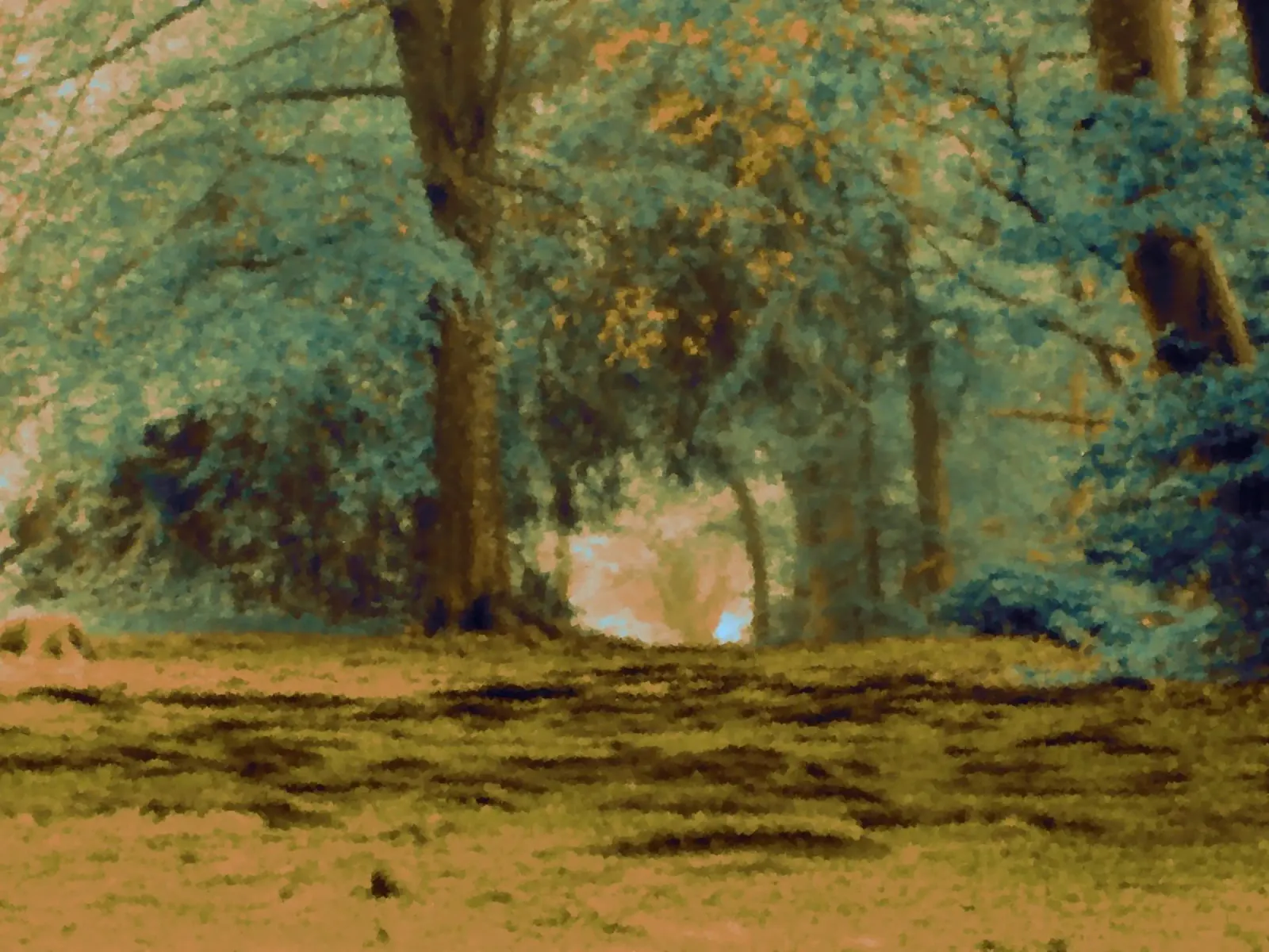 A path in the forest in summer hahnemühle by Something for you