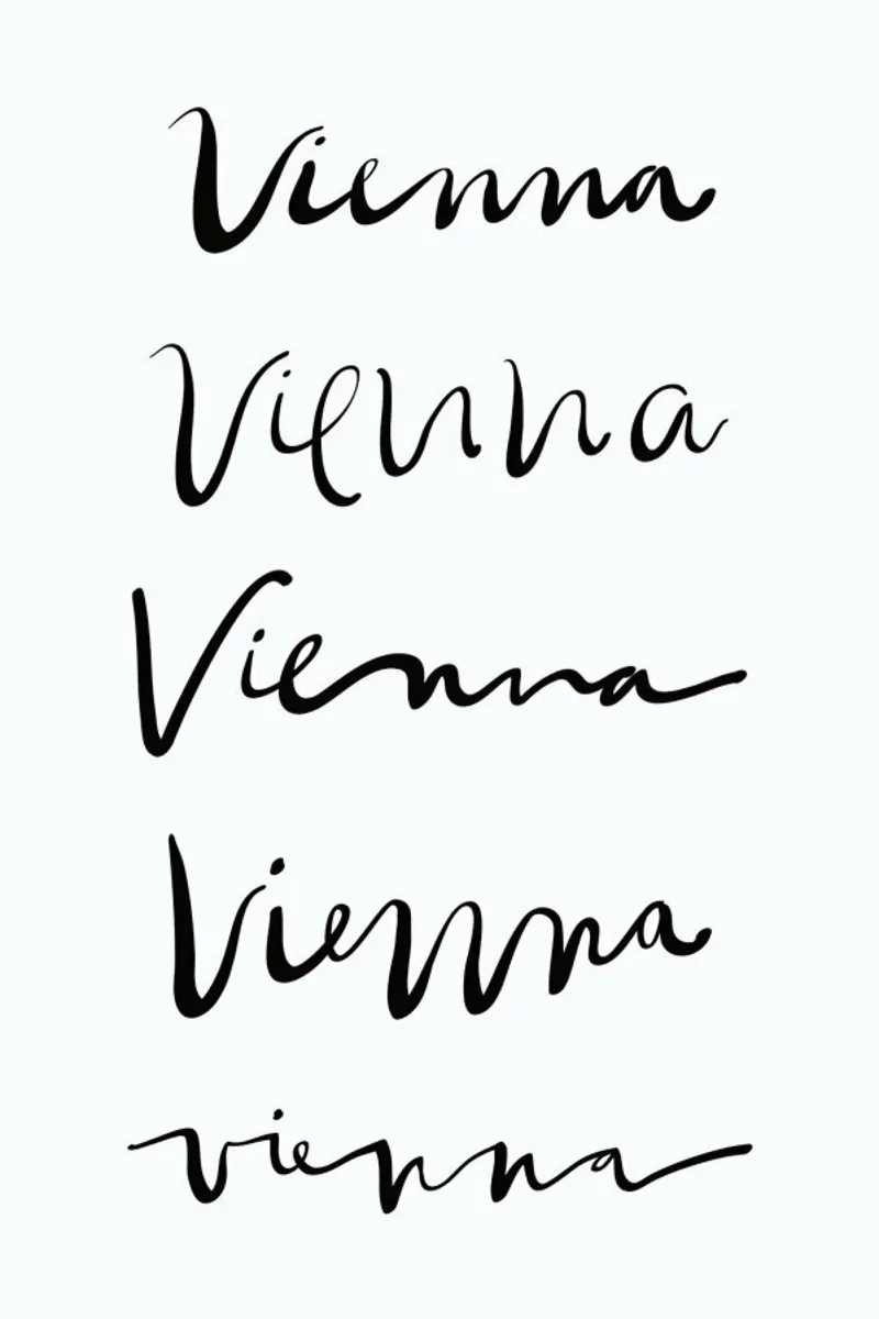 Vienna poster with aluminum frame by Kristen Polsinelli