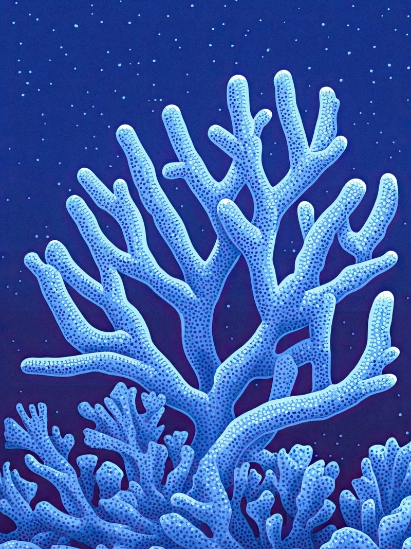 Midnight Corals canvas by The Sea