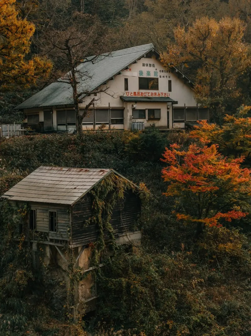 Primavera calda d'autunno a Nagano, Giappone pellicola backlit da Marcel Bisig