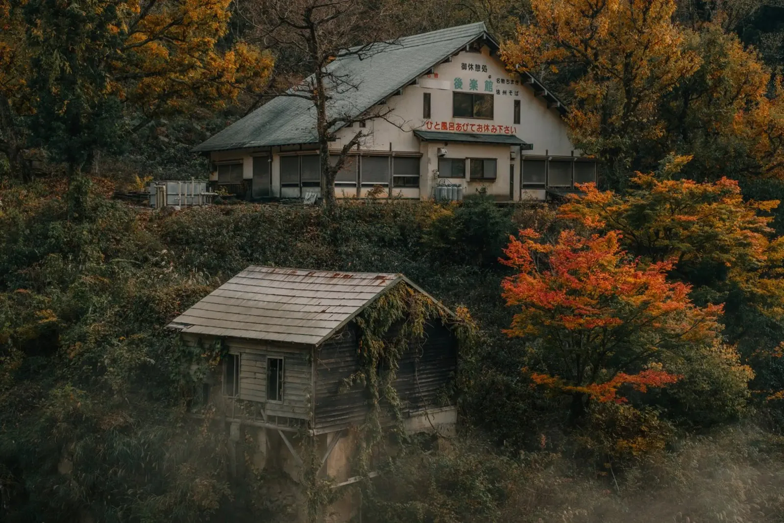 Primavera calda d'autunno a Nagano, Giappone pellicola backlit da Marcel Bisig