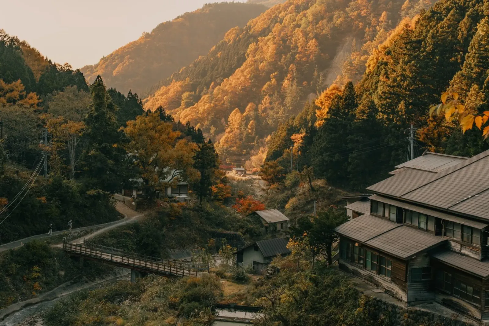 Valle delle sorgenti calde in autunno - Nagano, Giappone pellicola backlit da Marcel Bisig