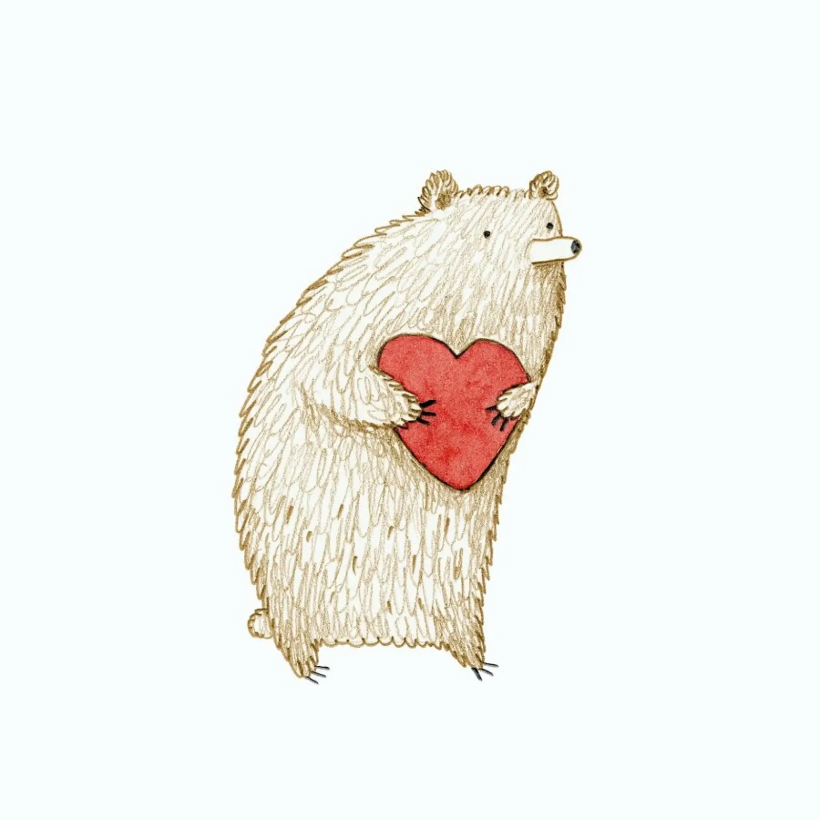 Bear With Heart pellicola backlit da Sophie Corrigan