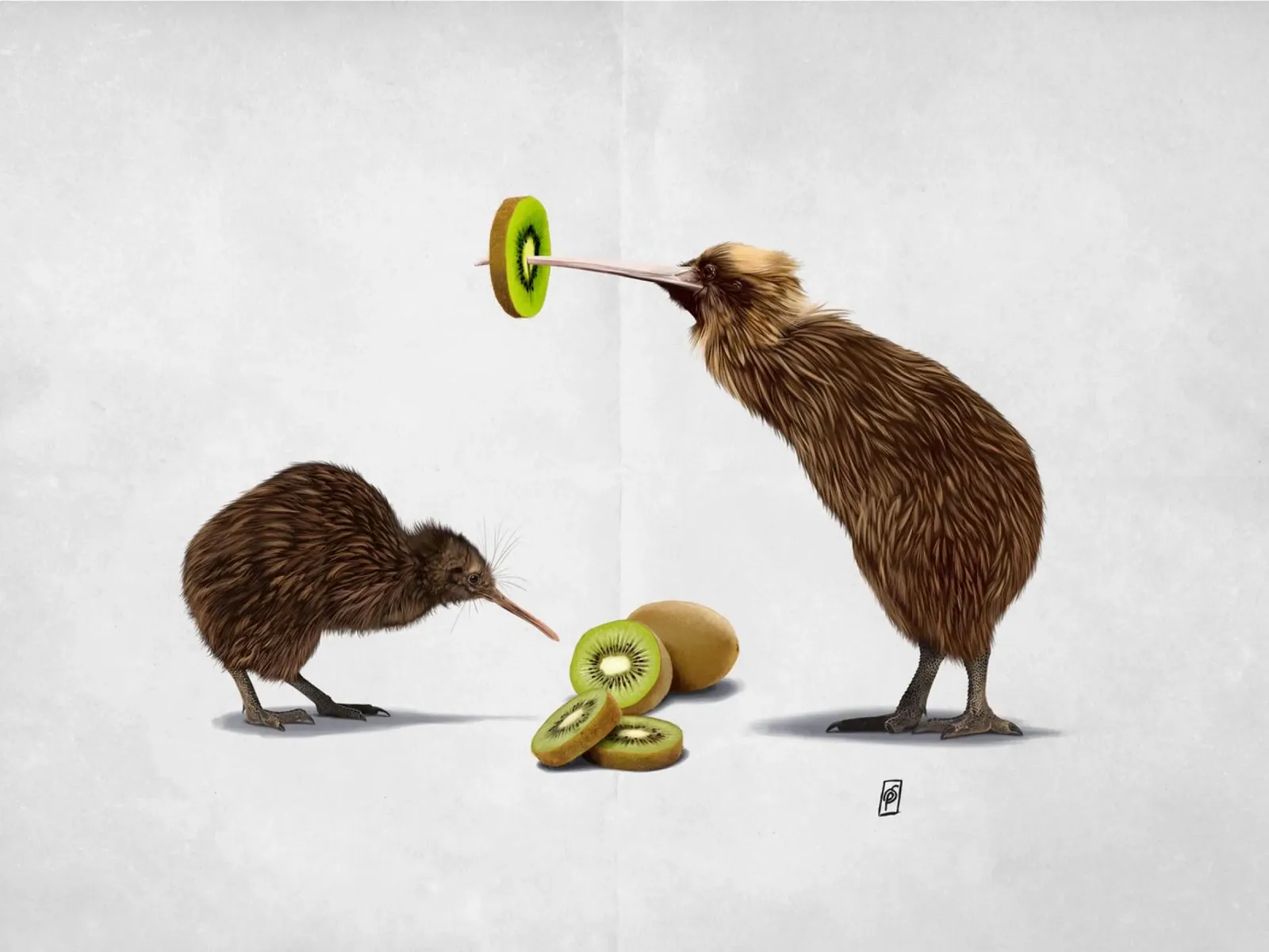 Kiwi (Wordless) carta hahnemühle da Rob Art | Illustration