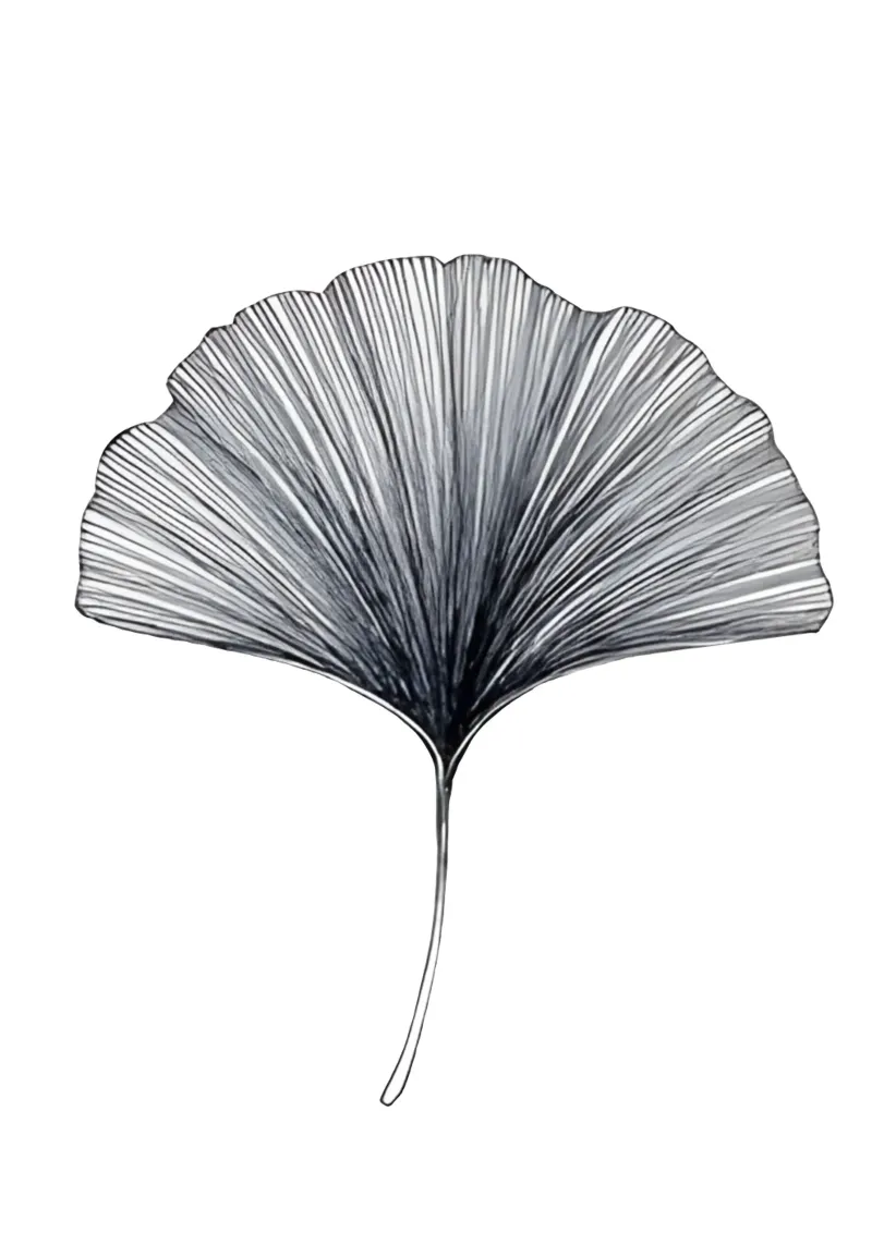 Foglia di ginkgo minimalista plexiglass da Kunst und Kontrast