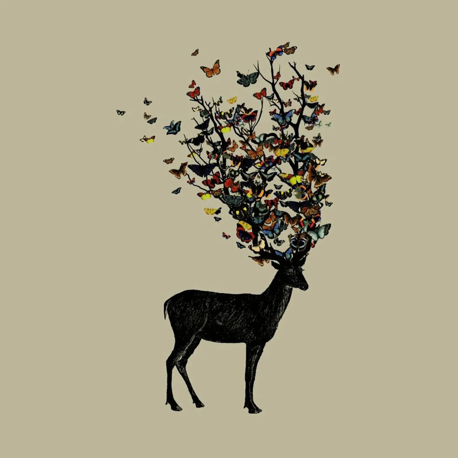 Wild Nature forex plate by Tobe Fonseca