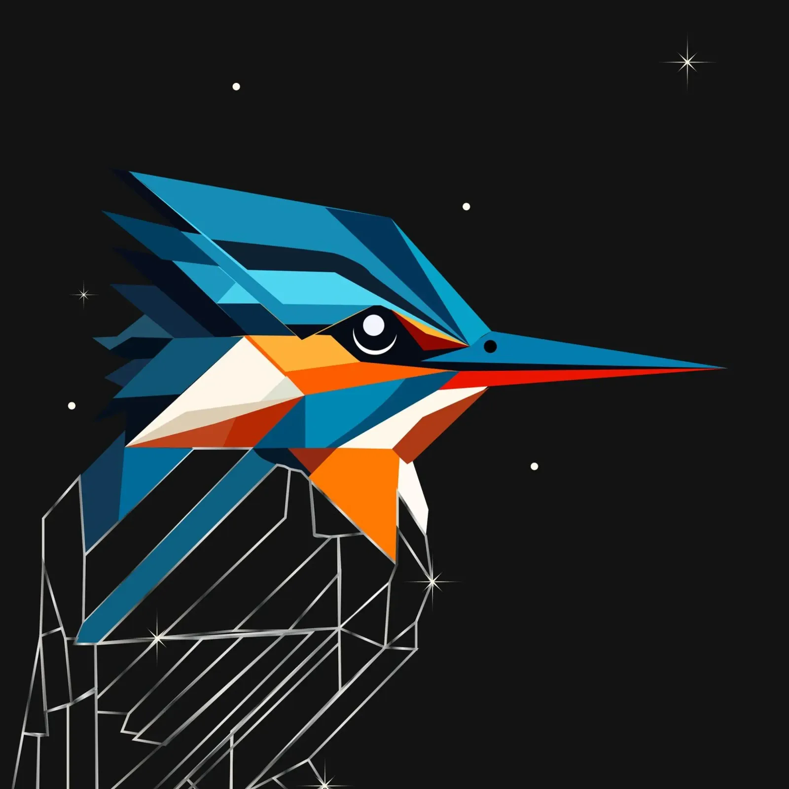 Martin pescatore geometrico: un tripudio di colori nel cielo notturno pellicola backlit da namosh