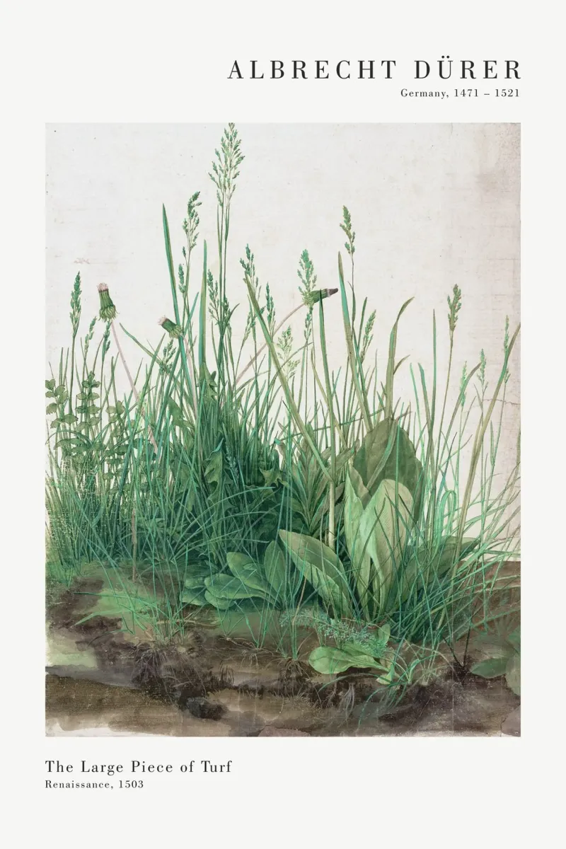 Albrecht Dürer - Das große Rasenstück poster con telaio in legno da Old Masters