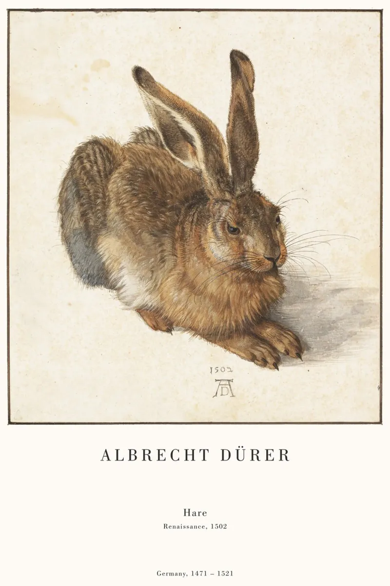 Albrecht Dürer - Der Hase plexiglass da Old Masters