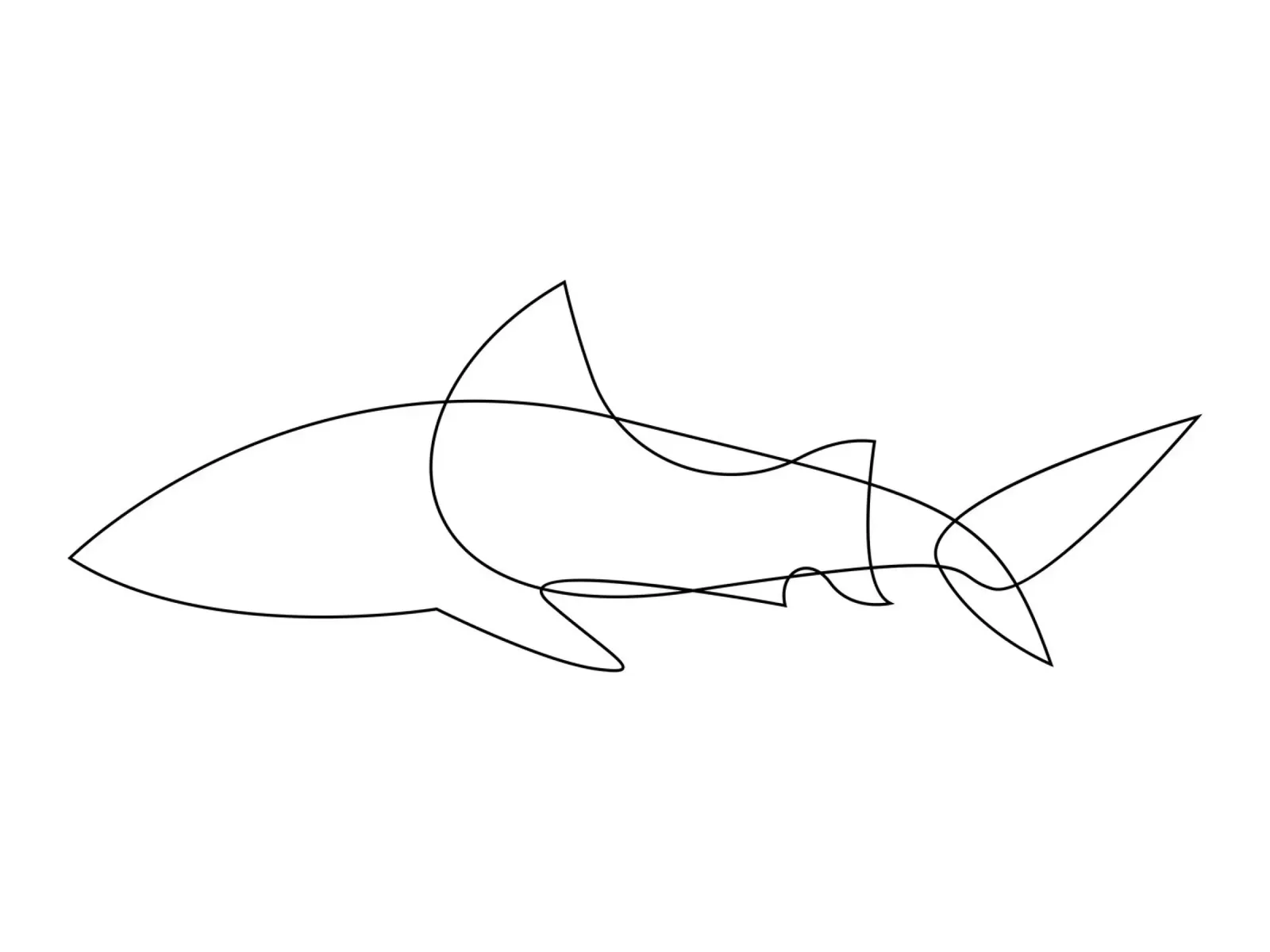 One Line Shark pellicola backlit da Addillum