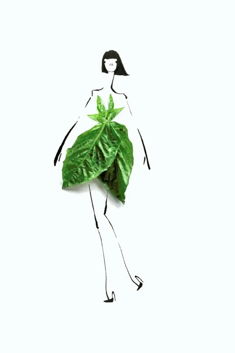 Basil pellicola backlit da Gretchen Roehrs