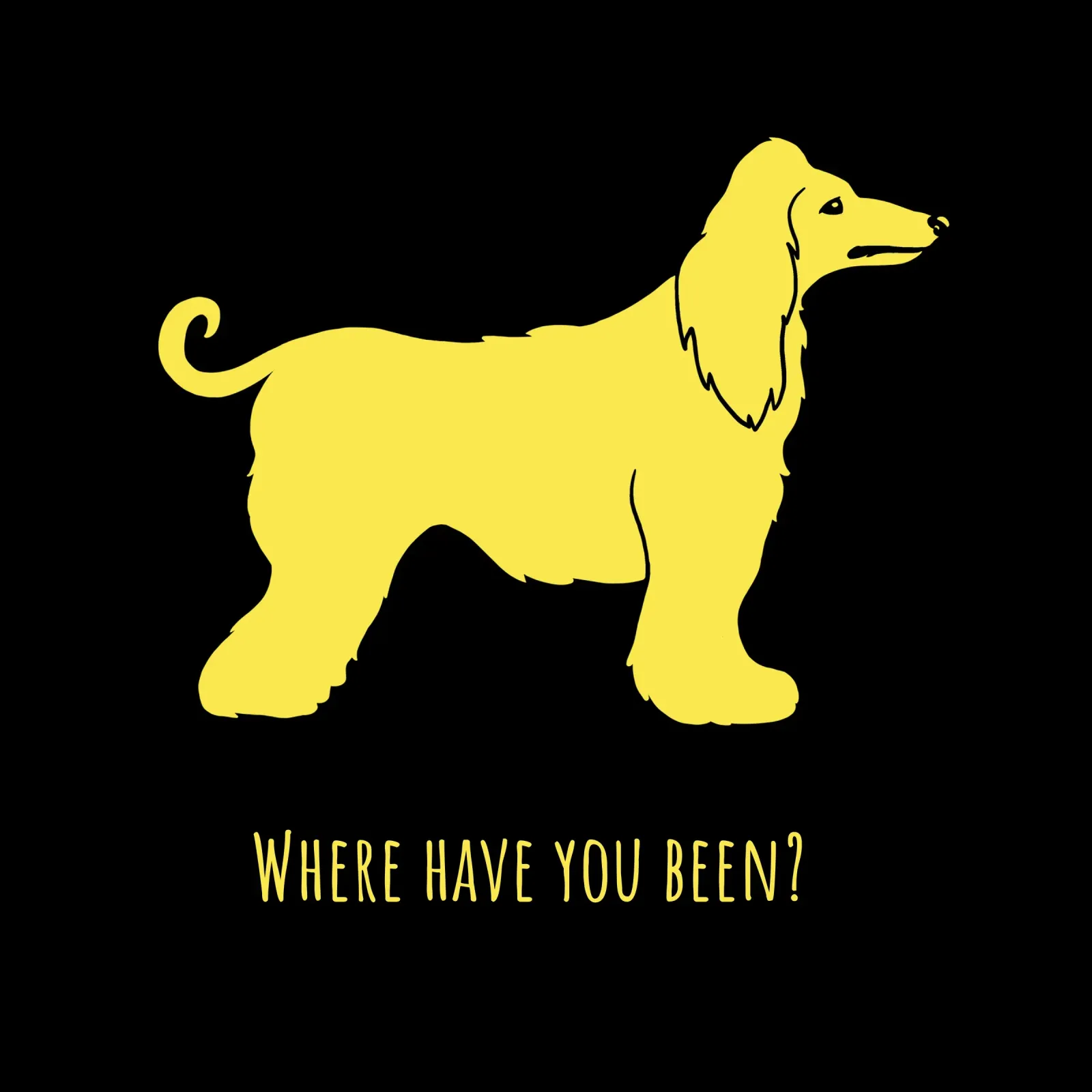 Afghan Hound pellicola backlit da Pop dogs