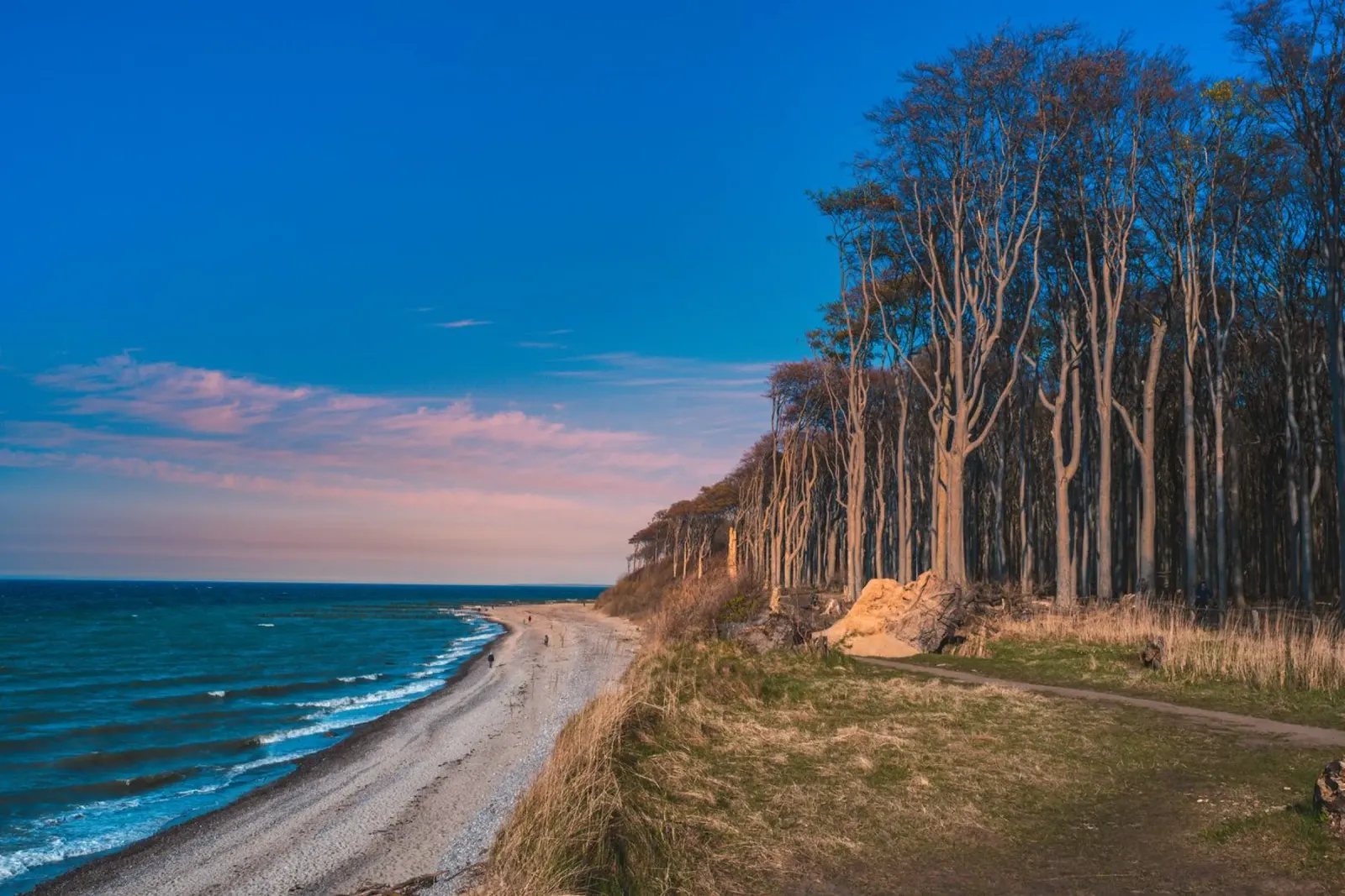 Una foresta fantasma sul Mar Baltico poster da Marcus Beckert | Fotografie