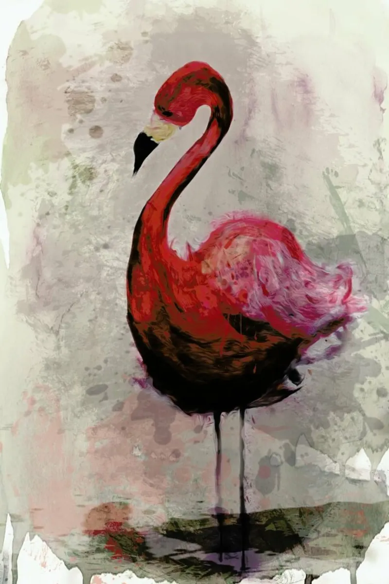 Flamingo pellicola backlit da Sabrina Ziegenhorn