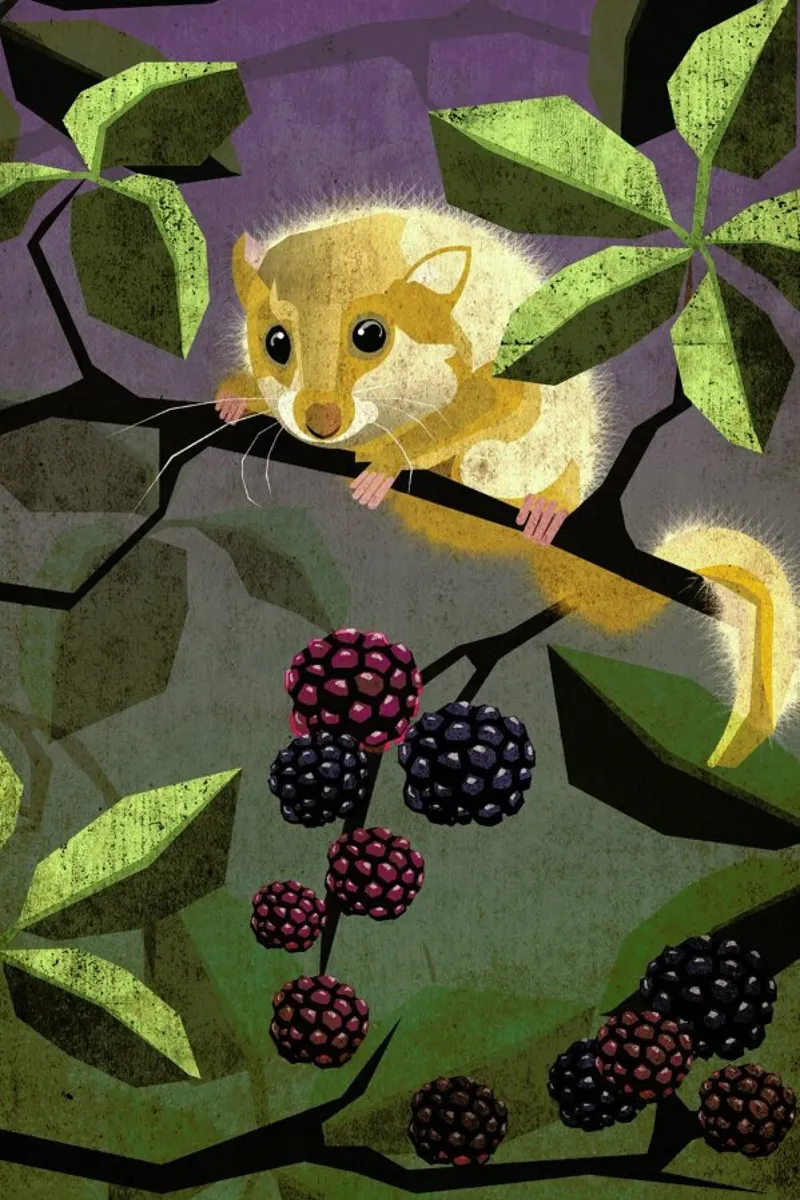 Haselmaus hahnemühle by Sabrina Ziegenhorn
