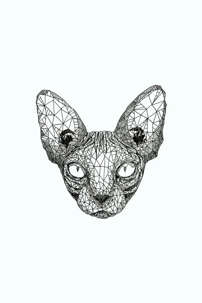 Sphynx Cat Hahnemühle von Pen & Ink