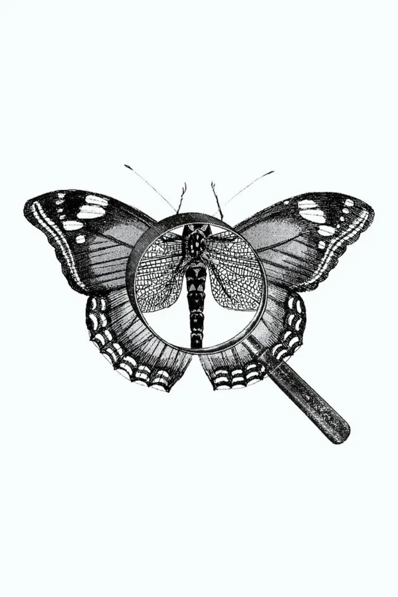 Loeping Good (Butterfly) alluminio dibond da BlauMaschine