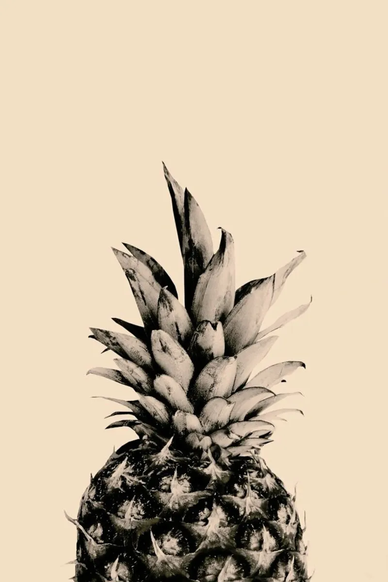 Pink Pineapple poster con telaio in plastica da cafelab