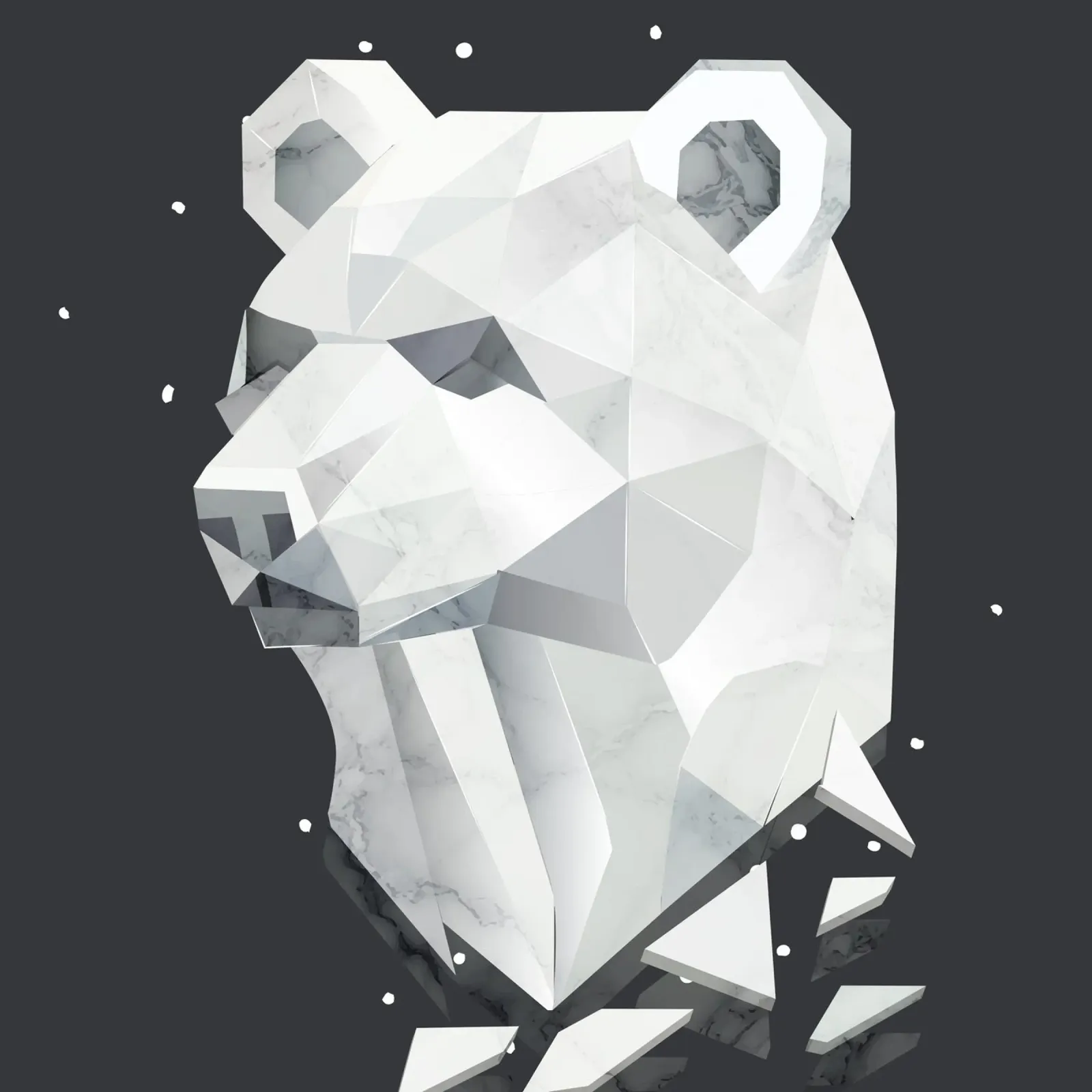 Testa d'orso geometrica - forza e tranquillità plexiglass da namosh