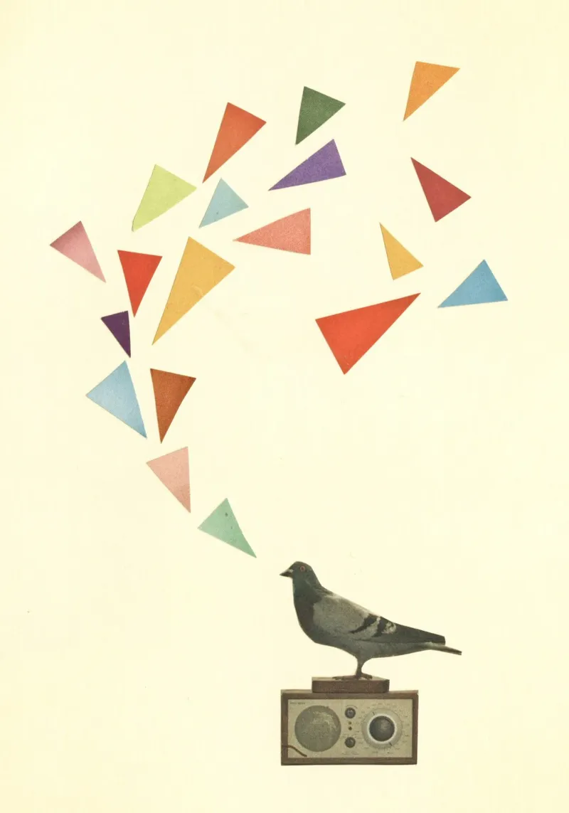 Radio Piccione poster con telaio in plastica da Cassia Beck Collage