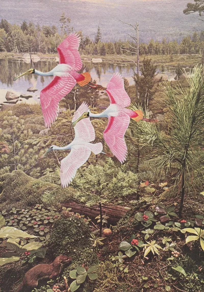 El vuelo de las espátulas lienzo de Cassia Beck Collage
