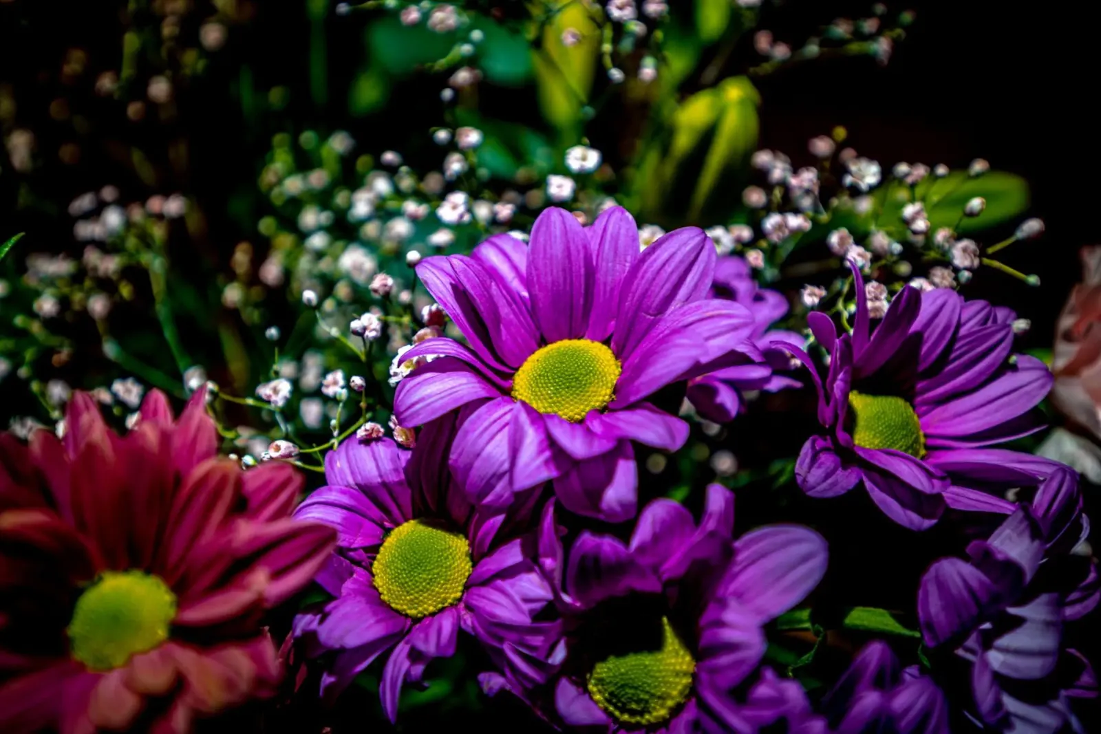 Bouquet di fiori colorati pellicola backlit da Marcus Beckert | Fotografie