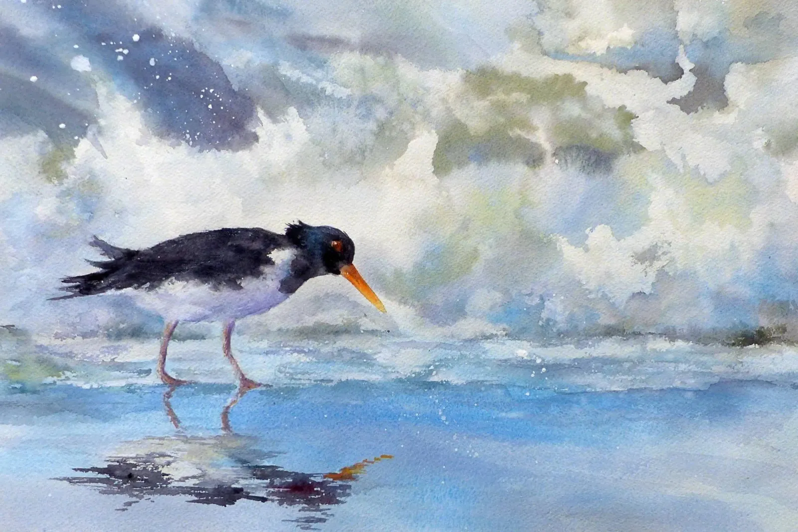 Beccaccia d'ostrica in riva al mare poster con telaio in legno da Meeresaquarelle