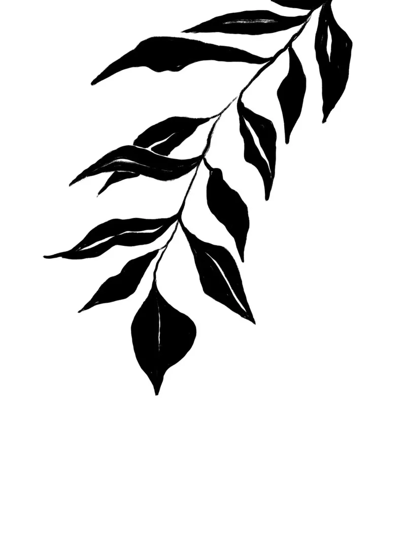 Black Leafs pellicola backlit da treechild