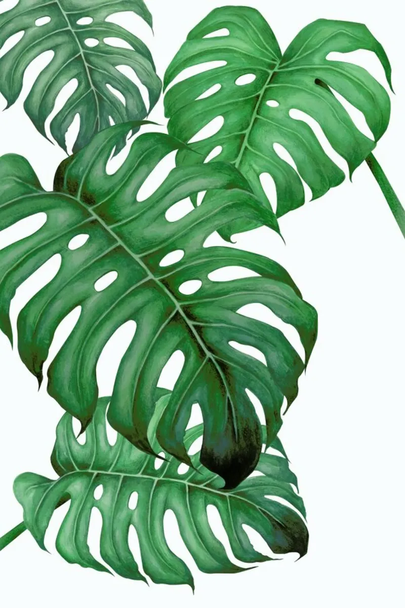 Tropical No. 2 poster with aluminum frame by typealive