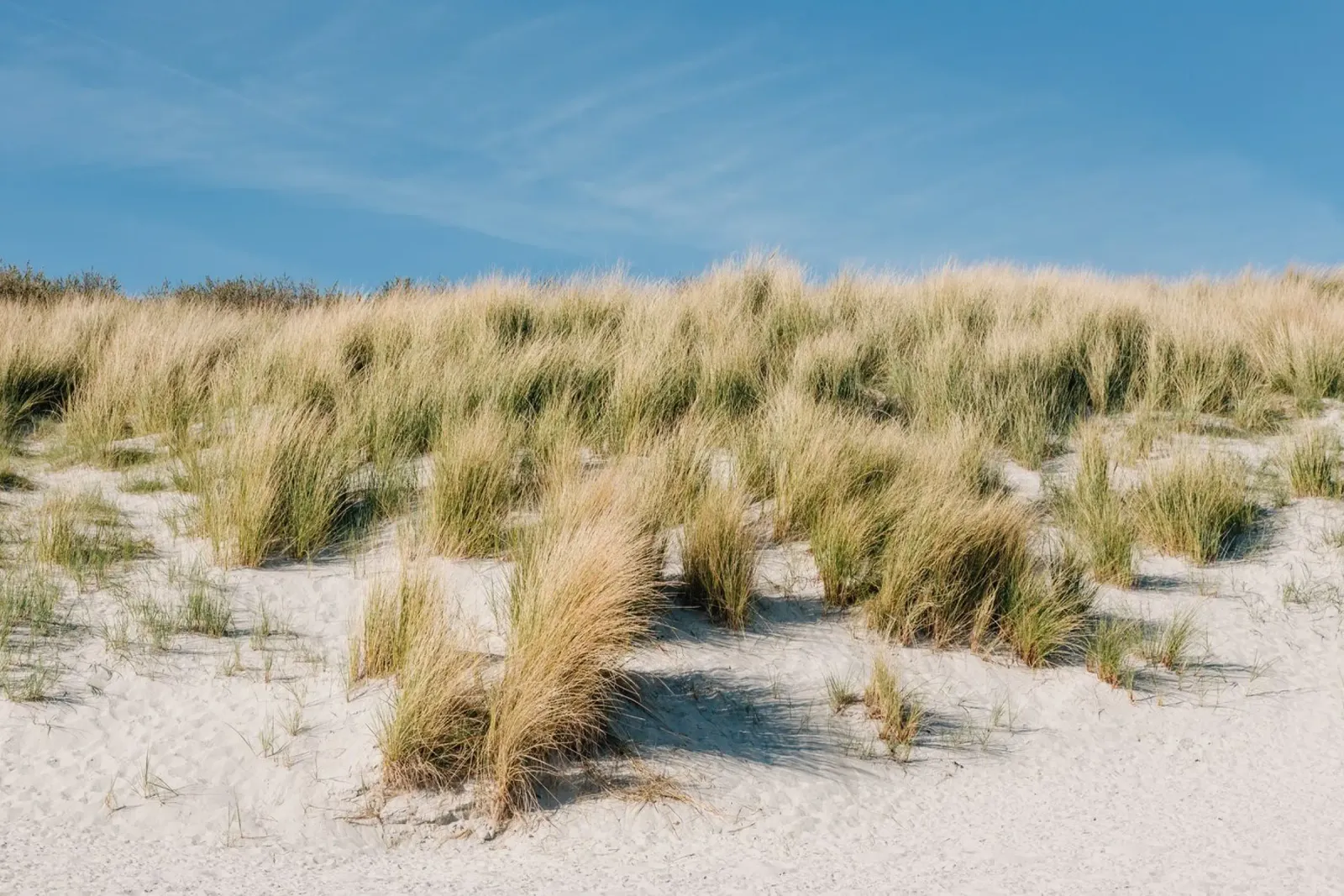 Spiaggia vicino a Helgoland pellicola backlit da susea