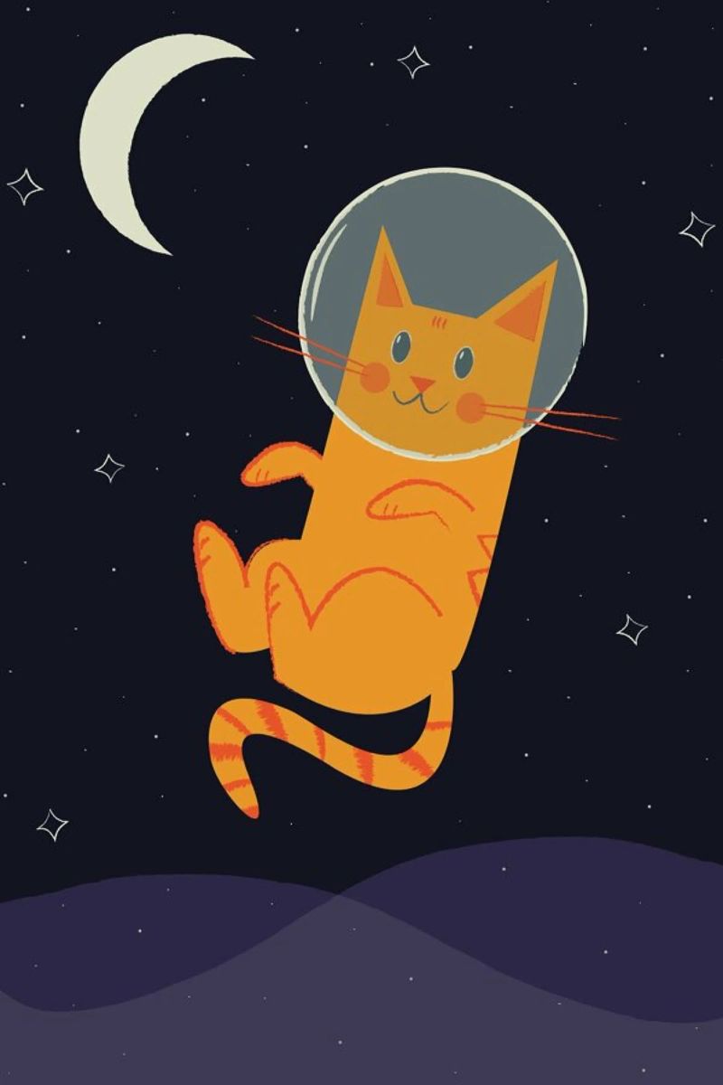 Floating Space Cat alluminio dibond da Karin Bijlsma