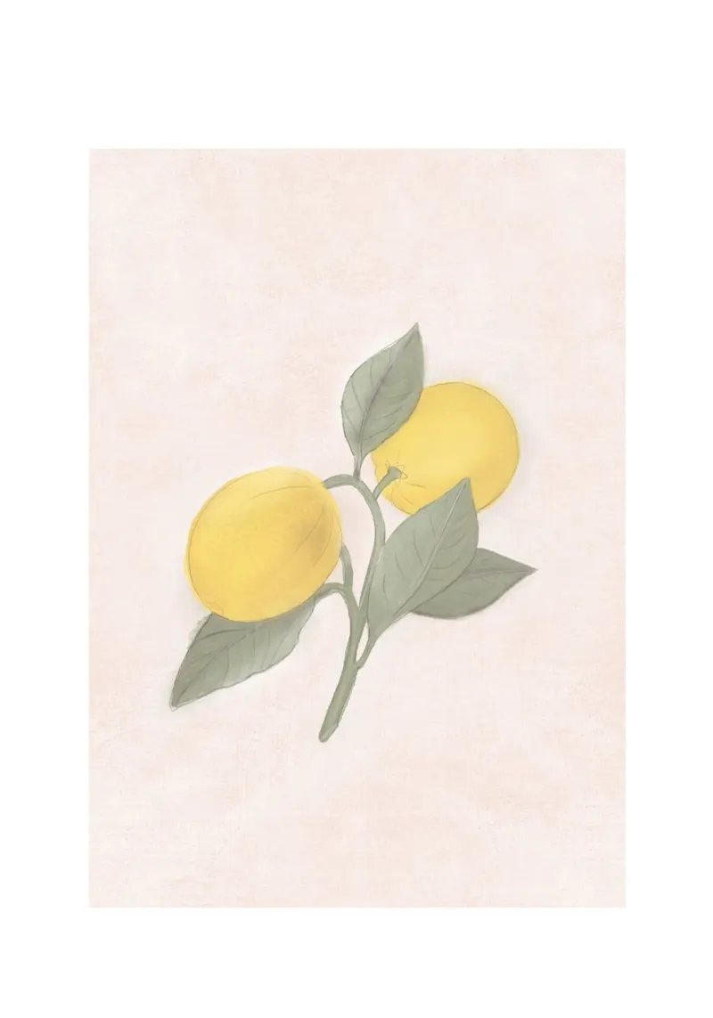 Limone francese del mercato contadino dipinto a mano pellicola backlit da Bloomery Decor