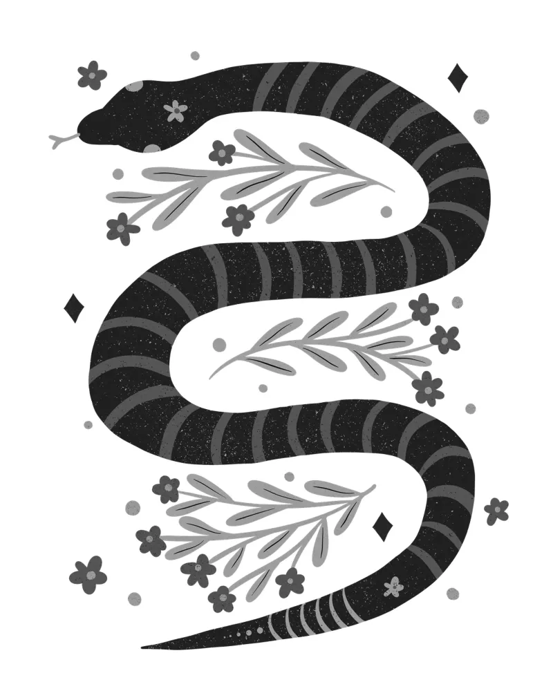 Serpente moderno - bianco e nero pellicola backlit da Wackapacka