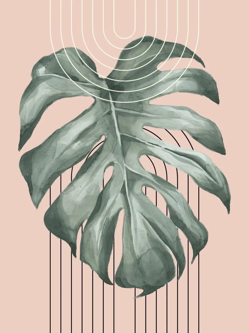 large monstera leaf pellicola backlit da ramosashop