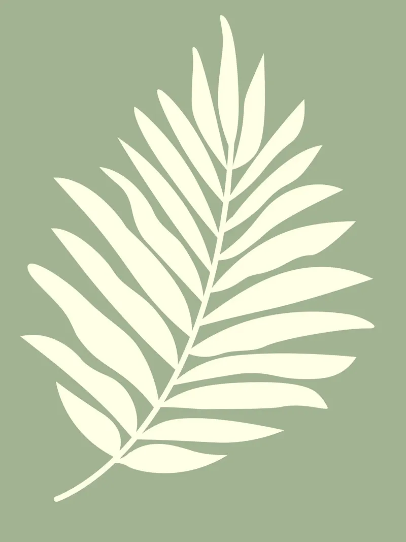 simple depiction of a pale leaf carta hahnemühle da ramosashop