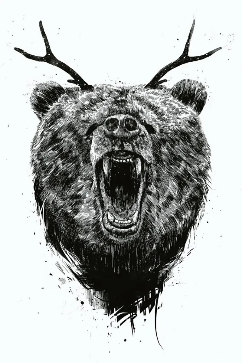 Angry Bear pellicola backlit da Balazs Solti
