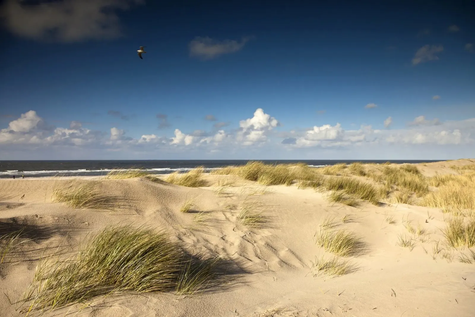 Spiaggia Spiekeroog pellicola backlit da Reisefotografie - Bilder aus aller Welt